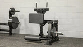 Westside Standing Leg Curl
