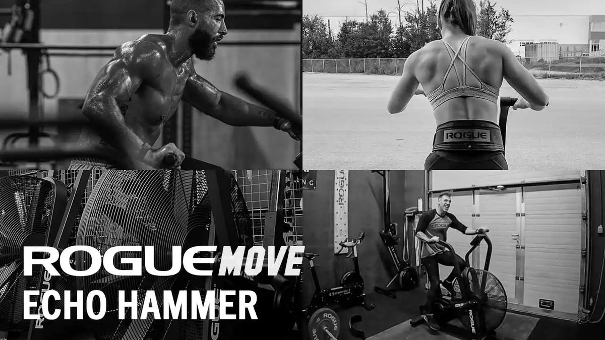 Rogue Move - Echo Hammer (eBook)